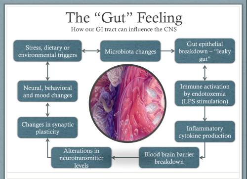 probiotics and mental health