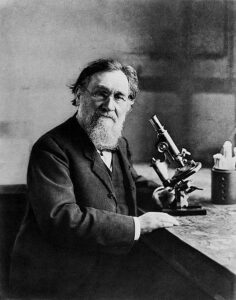 Metchnikoff.