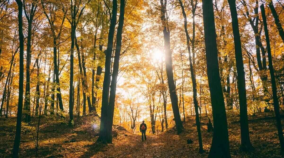 Partez en randonnée et faites des promenades dans la nature pour profiter des magnifiques paysages d'automne