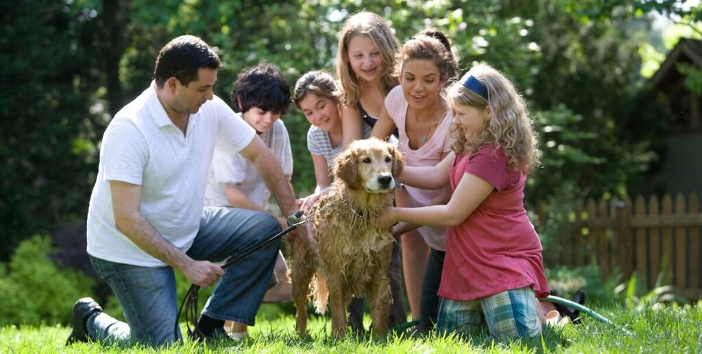 Imagine asociată cu articolul despre alegeri pentru sărbătorile acasă