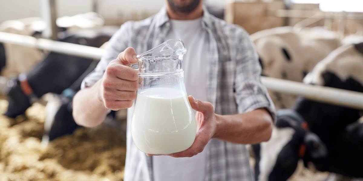 Cette affirmation sur la nutrition est-elle fausse ? Le lait entier est-il plus sain que le lait faible en gras ?