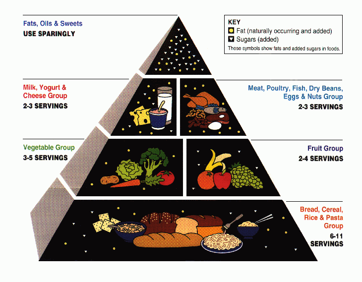 la pyramide alimentaire de l'USDA