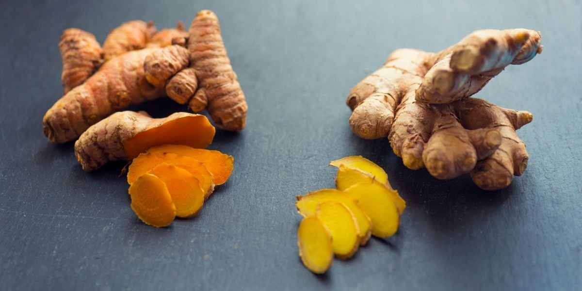 rhizomes de curcuma vs gingembre