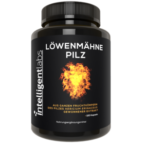 Lejonmansvampextrakt