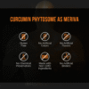 Meriva Curcumin Phytosome 250mg - Imagen 9