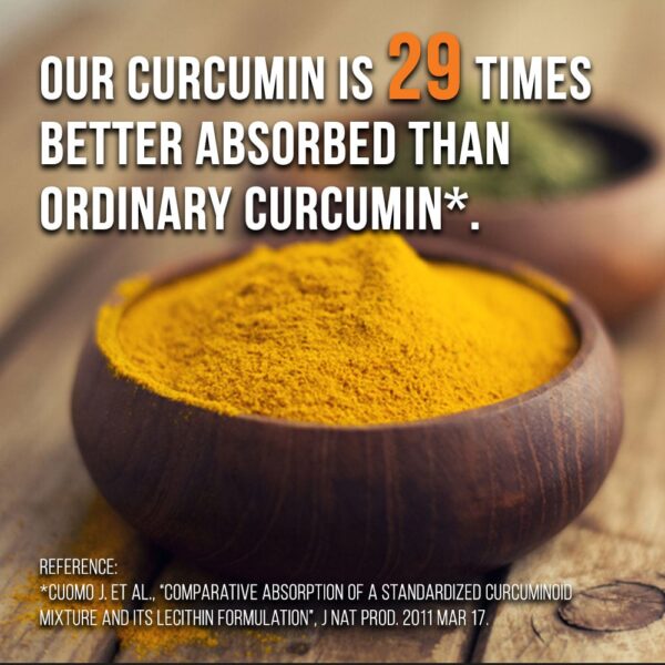 Meriva Curcumin Phytosome 1000mg - Image 6