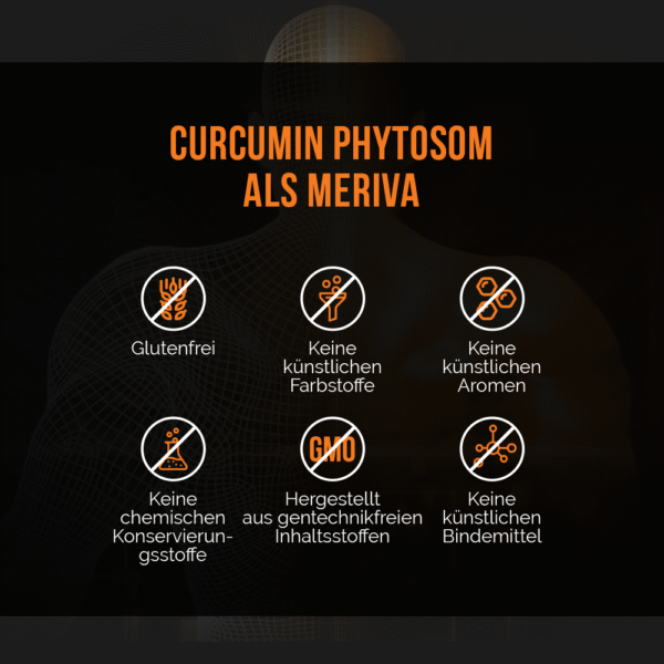 Fitosoma di curcumina Meriva 1000 mg - immagine 8