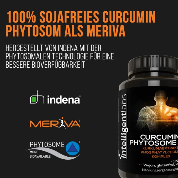 Fitosoma di curcumina Meriva 1000 mg - immagine 5