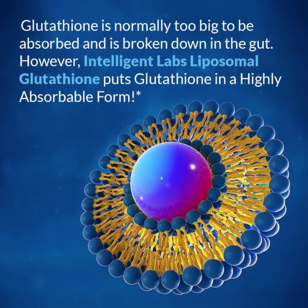 Liposomal Glutathione - Image 4