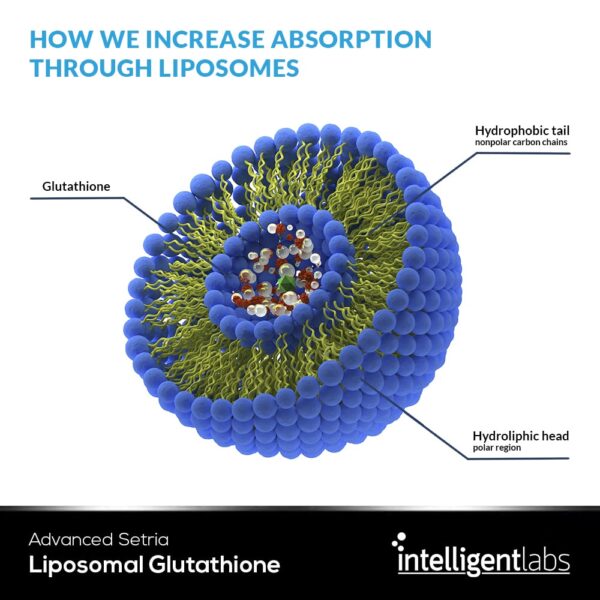 Liposomal Glutathione - Image 5