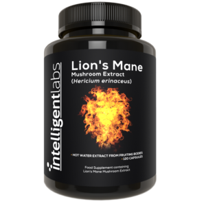 Lion's Mane Mushroom Extract