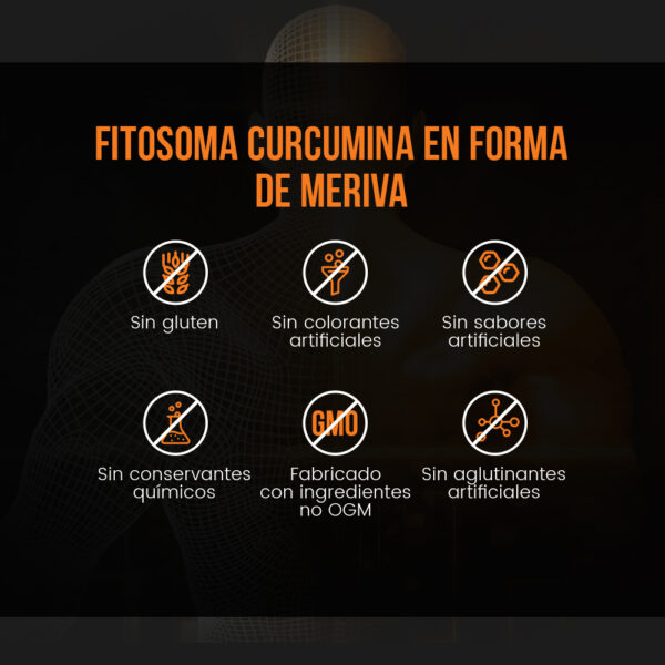 Fitosoma de Curcumina Meriva 1000mg - Imagen 8
