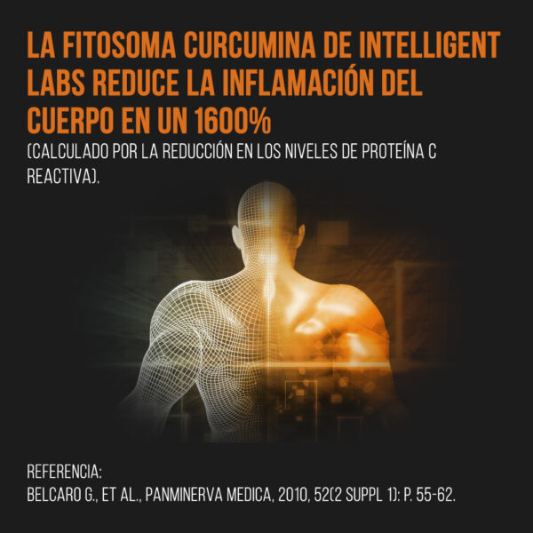 Fitosoma de Curcumina Meriva 1000mg - Imagen 7