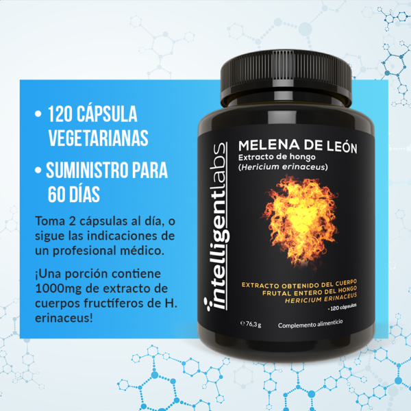 Extracto de Hongo Melena de León - Imagen 3