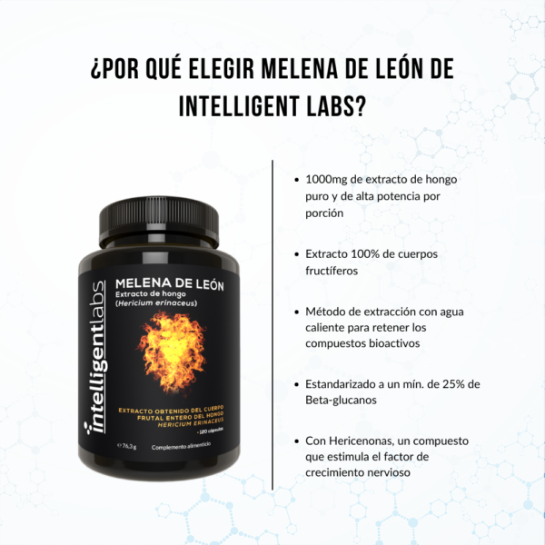 Extracto de Hongo Melena de León - Imagen 5