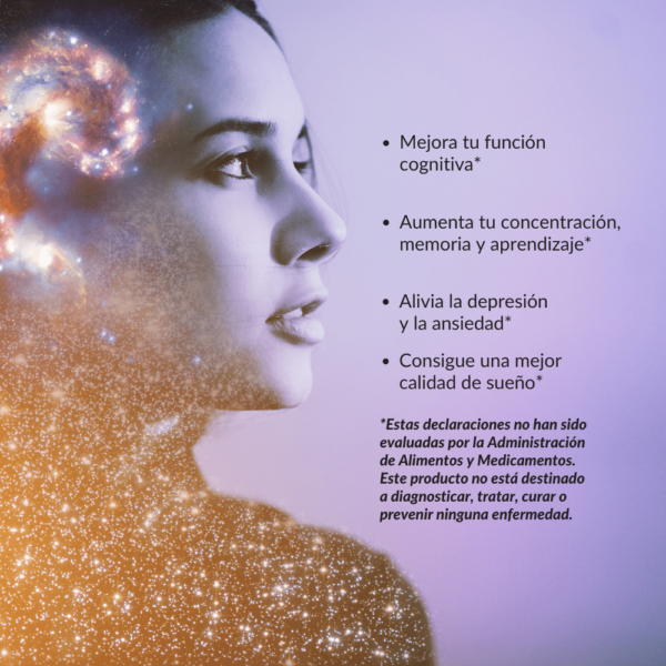 Extracto de Hongo Melena de León - Imagen 6