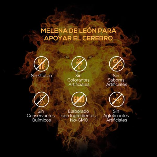 Extracto de Hongo Melena de León - Imagen 7