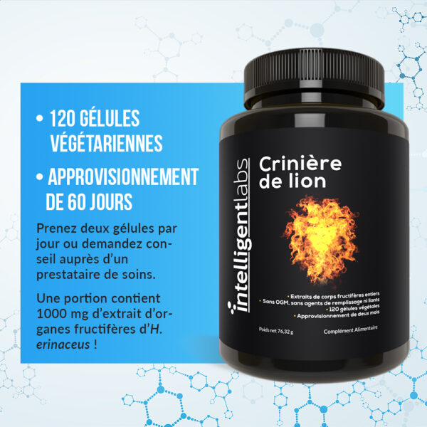 Extrait de champignon crinière de lion – Image 3