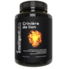 Extrait de champignon crinière de lion