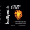 Extrait de champignon crinière de lion – Image 2