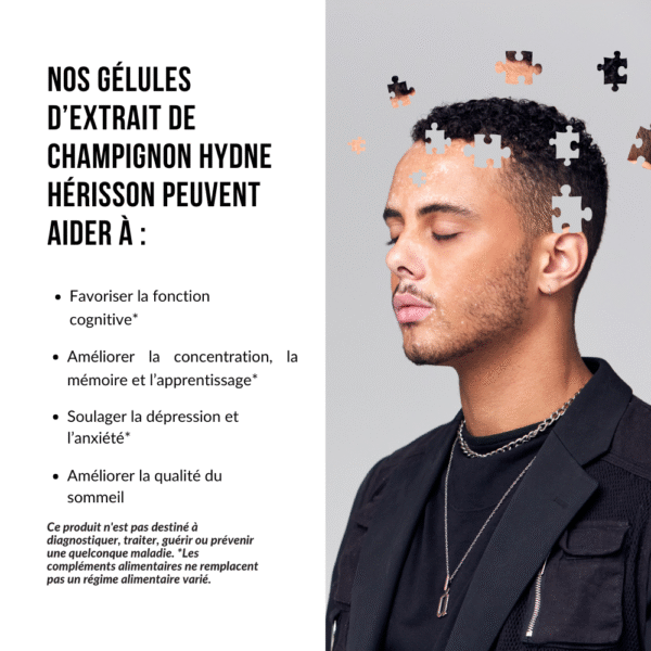 Extrait de champignon crinière de lion – Image 6