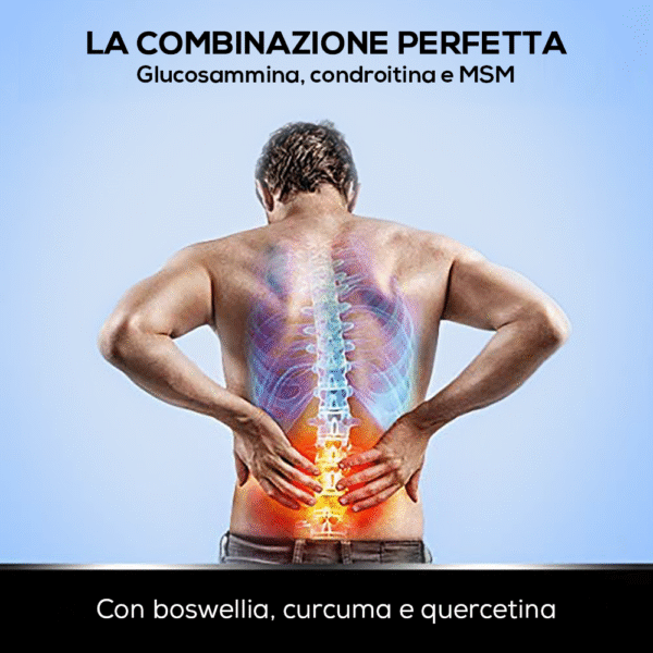 Glucosamina con Condroitina e MSM - immagine 5