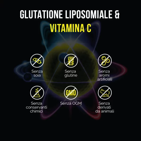 Glutatione liposomiale e vitamina C - immagine 7
