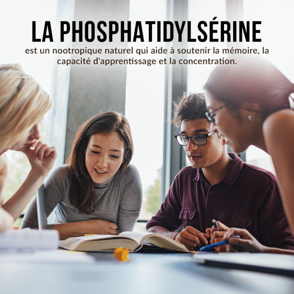 Phosphatidylsérine 100 mg – Image 5
