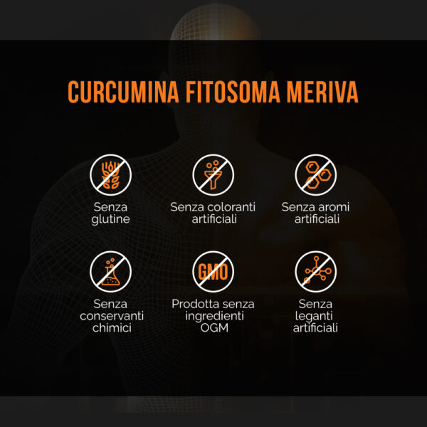 Fitosoma di curcumina Meriva 1000 mg - immagine 8