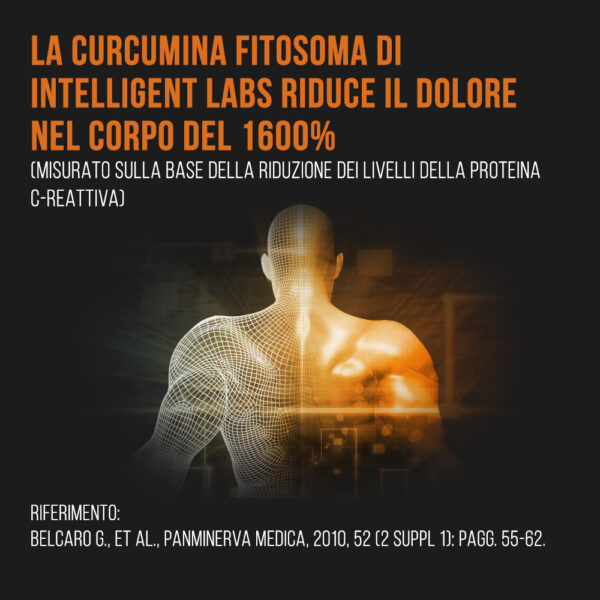 Fitosoma di curcumina Meriva 1000 mg - immagine 7
