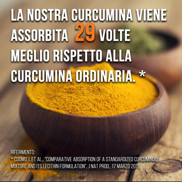Fitosoma di curcumina Meriva 1000 mg - immagine 6