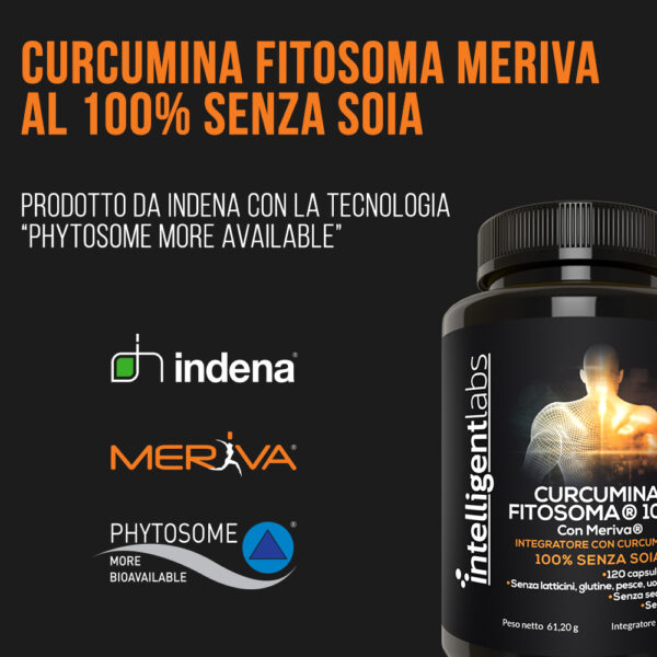 Fitosoma di curcumina Meriva 1000 mg - immagine 5