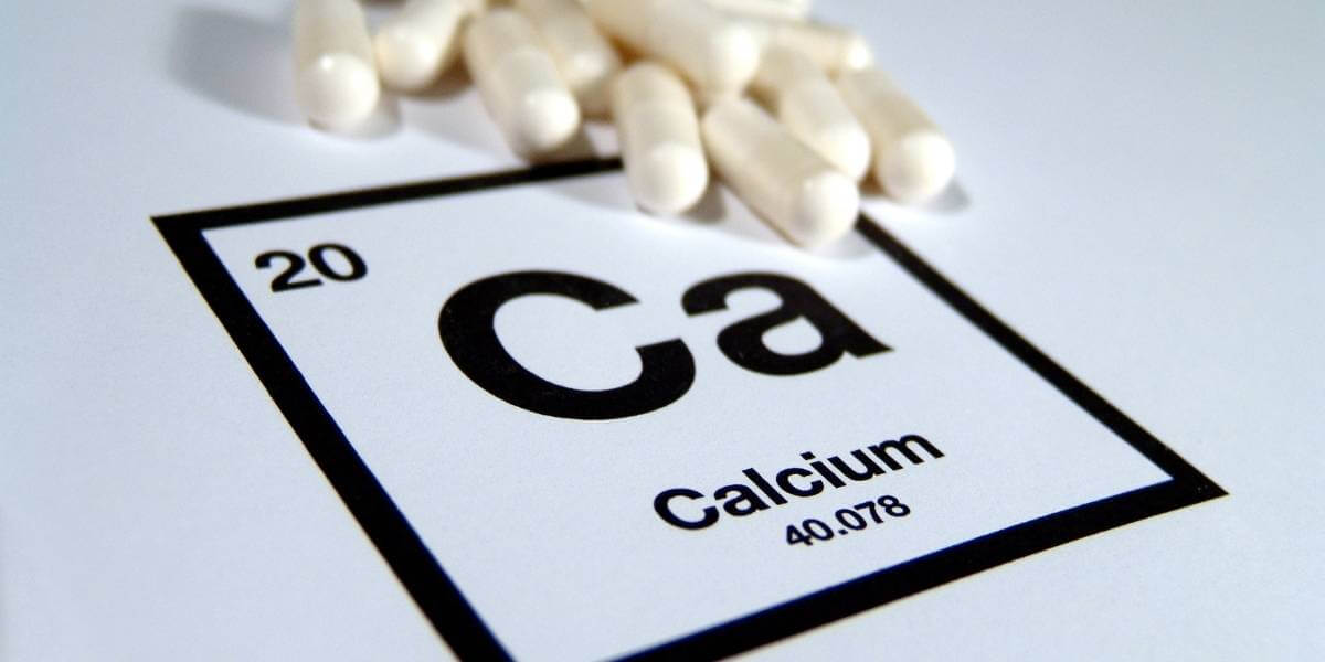 Der Körper braucht Kalzium zum Überleben