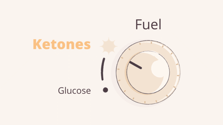Don’t Fail at the Ketogenic Diet – How to get into Ketosis Easily!