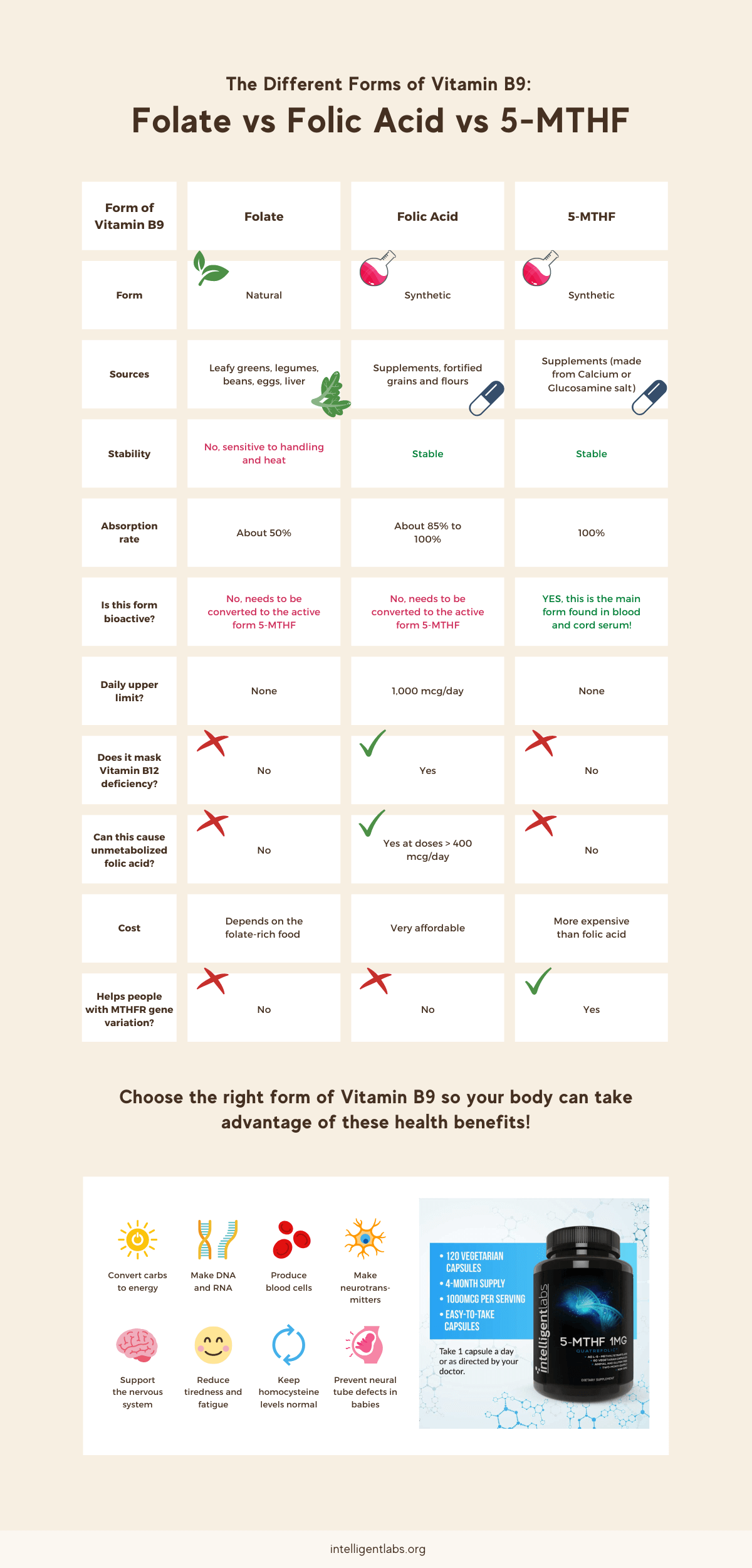 las diferentes formas de vitamina B9: folato, ácido fólico y 5-mthf