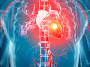 Calcium supplements don't work