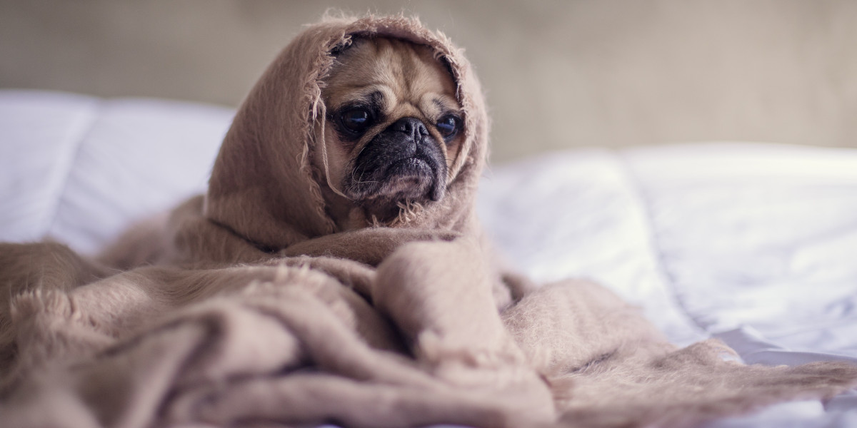 Un perrito durmiendo en la cama.
