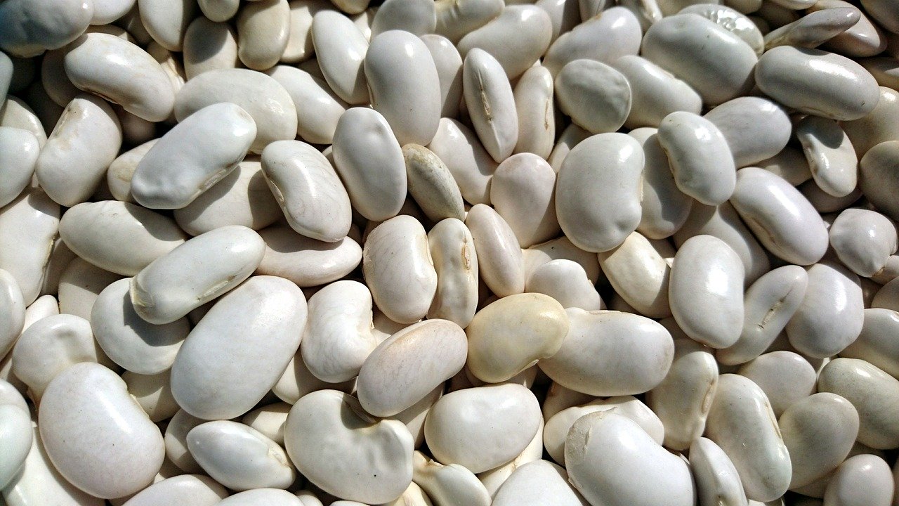 Las alubias blancas son una buena fuente de fosfatidilserina
