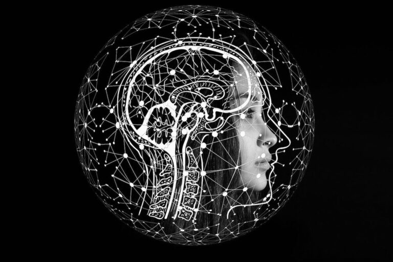 immagine in evidenza per l’articolo su cosa sono i nootropici e gli integratori per il miglioramento delle funzioni cognitive