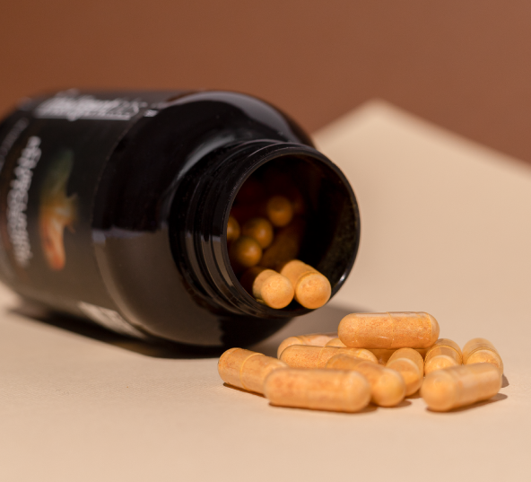 Meriva curcumin phytosome soy free capsules