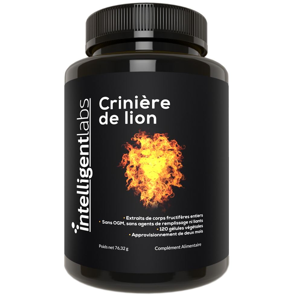 extrait de champignon hydne herisson