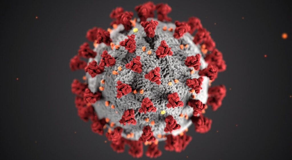 Het coronavirus (COVID-19)