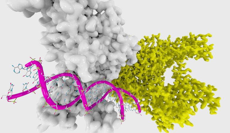Wie Omega-3 Lebensmittel Ihre Gene verändern können!