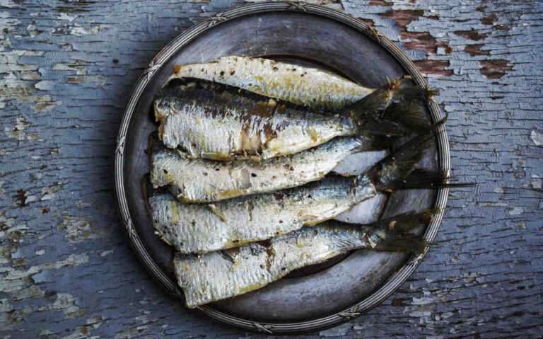 il pesce grasso e i frutti di mare sono ricchi di Omega-3