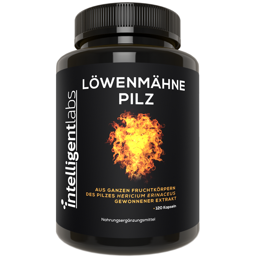 lowenmahne pilz