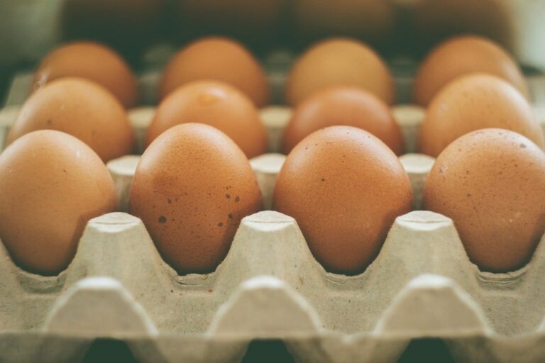 Wollen Sie Muskeln? Dann sollten Sie unbedingt Eigelb essen!
