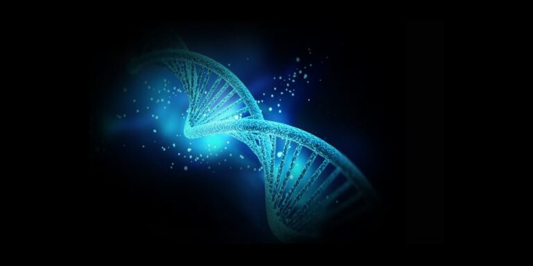 Was ist 5 MTHF – Der ultimative Guide zu Folat und Methylfolat
