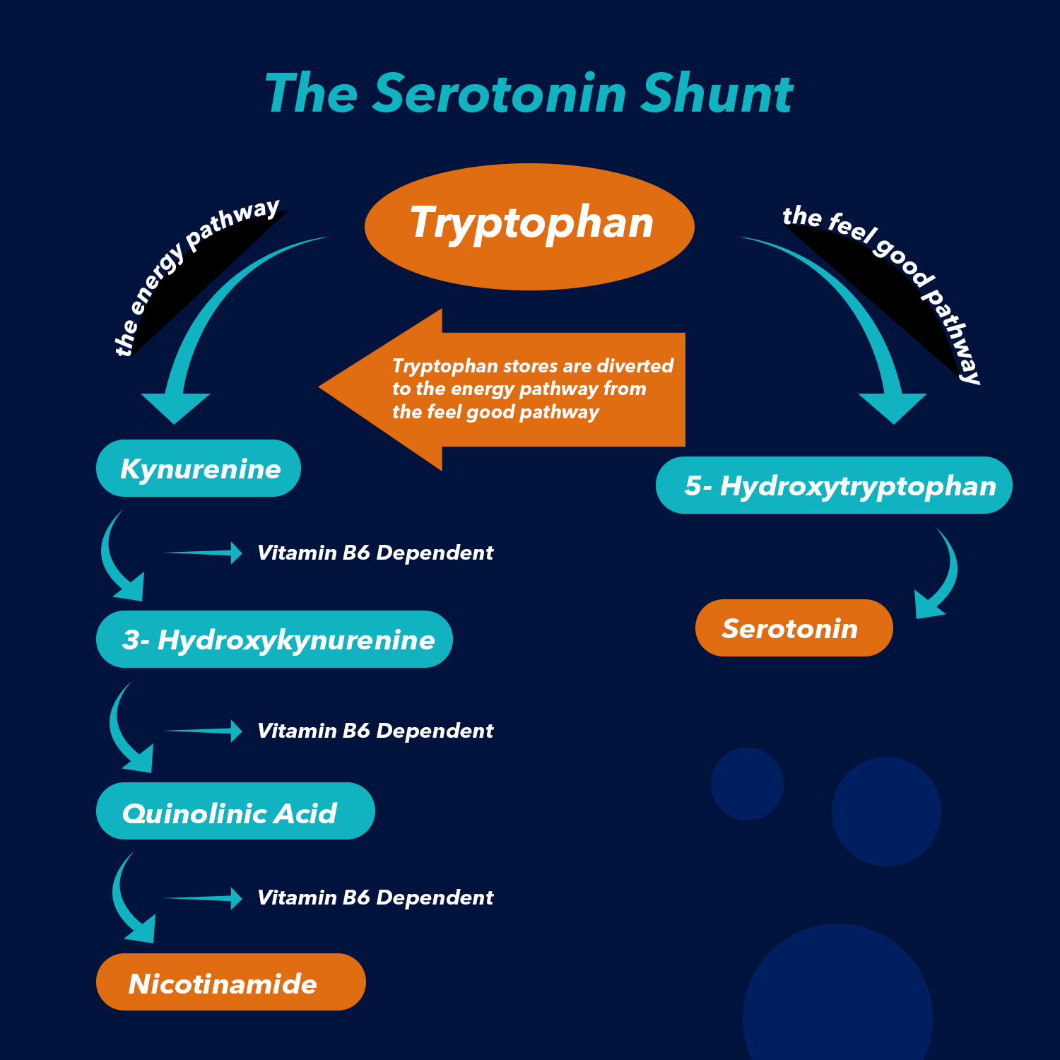 stress reduces the production of serotonin