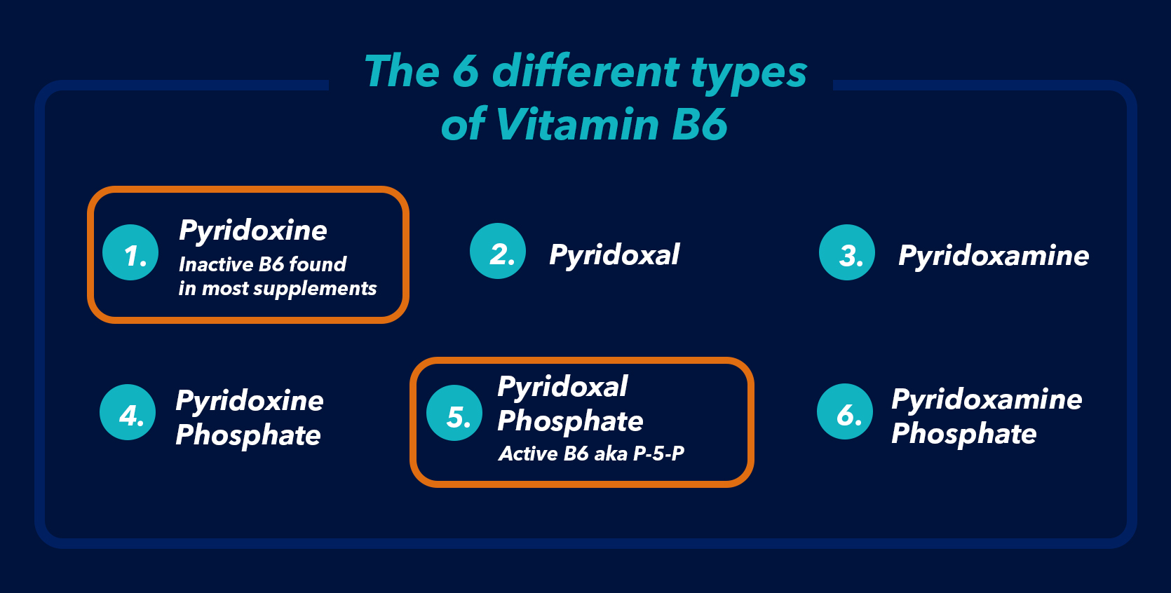 there are six types of vitamin b6