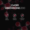 CoQ10 Ubichinone 200mg - immagine 6